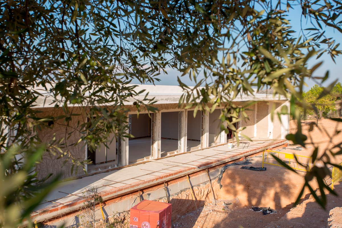 Detalle entre olivos de proyecto de chalet en Hondón de las Nieves (Alicante) por Araque Maqueda